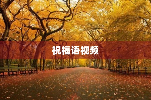 祝福语视频，今天早上好最新最美祝福视频
