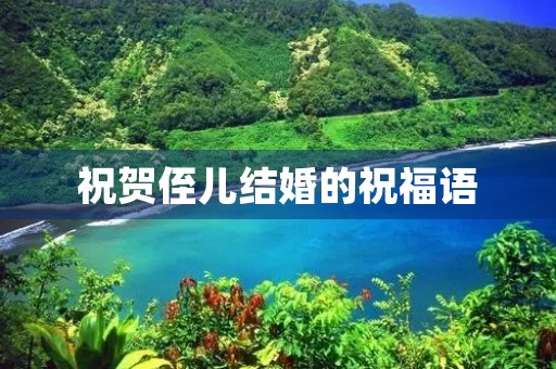 祝贺侄儿结婚的祝福语(参加侄子婚礼祝福语)