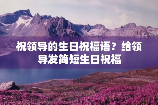 祝领导的生日祝福语？给领导发简短生日祝福