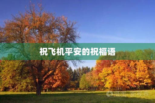 祝飞机平安的祝福语(祝愿飞机顺利怎么说)