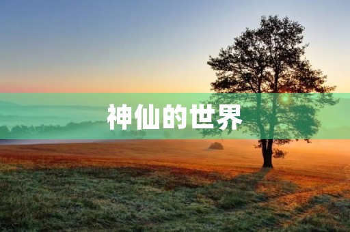 神仙的世界 神仙的世界