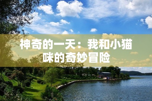 神奇的一天:我和小猫咪的奇妙冒险 神奇的一天:我和小猫咪的奇妙冒险