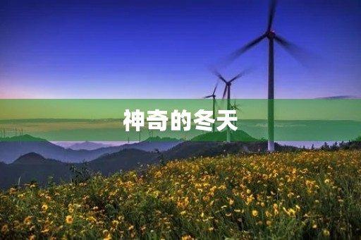 神奇的冬天