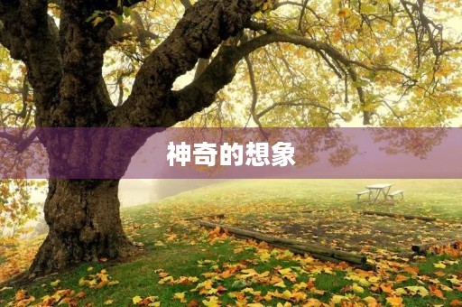 神奇的想象 神奇的想象