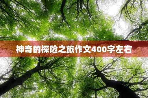 神奇的探险之旅作文400字左右