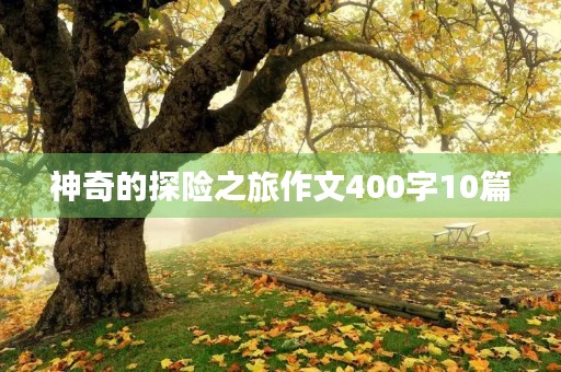 神奇的探险之旅作文400字10篇 神奇的探险之旅作文400字10篇