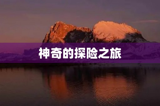 神奇的探险之旅
