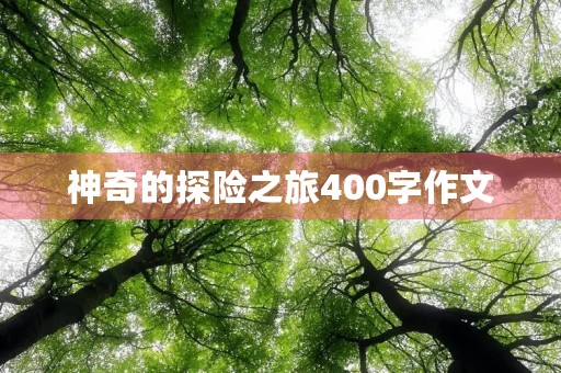 神奇的探险之旅400字作文 神奇的探险之旅400字作文