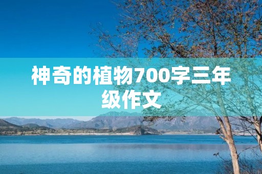 神奇的植物700字三年级作文