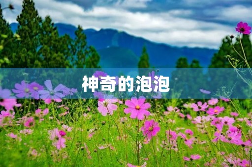 神奇的泡泡 神奇的泡泡