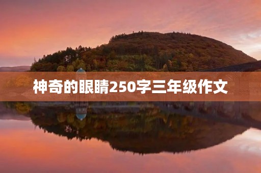 神奇的眼睛250字三年级作文