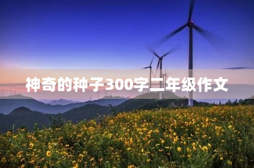 神奇的种子300字二年级作文