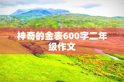 神奇的金表600字二年级作文 神奇的金表600字二年级作文