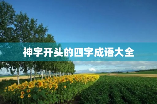 神字开头的四字成语大全