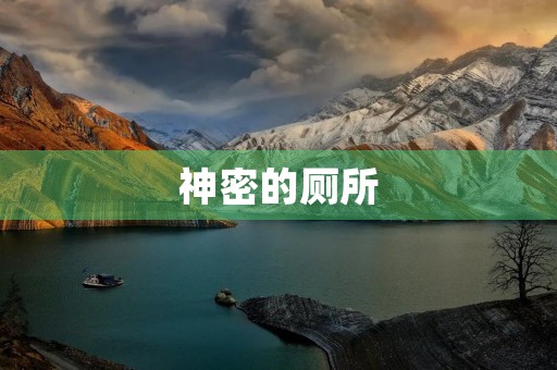 神密的厕所