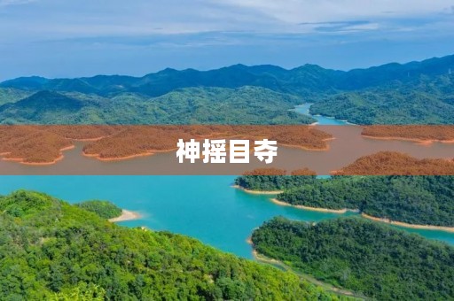 神摇目夺,我们的奋斗目标。 神摇目夺,我们的奋斗目标。