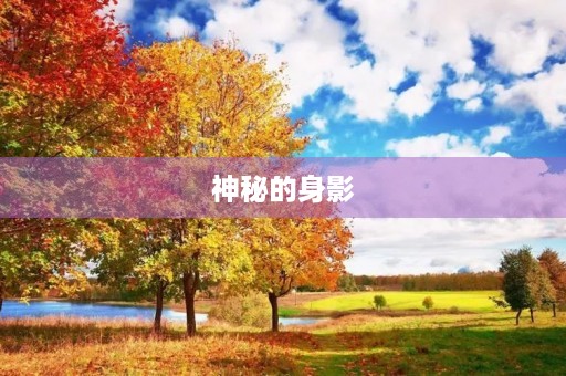神秘的身影 神秘的身影