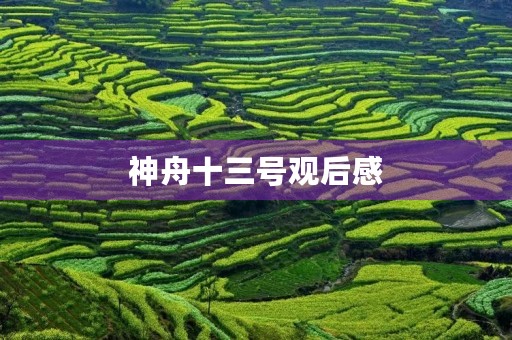 神舟十三号观后感