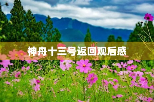 神舟十三号返回观后感