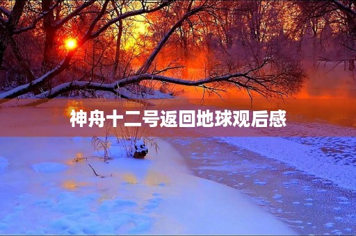 神舟十二号返回地球观后感 神舟十二号返回地球观后感