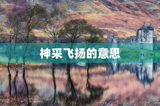 神采飞扬的意思(神采飞扬的意思)