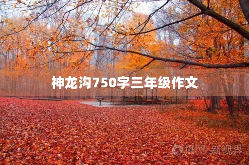 神龙沟750字三年级作文 神龙沟750字三年级作文