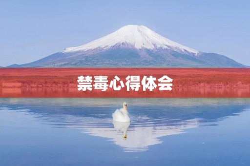 禁毒心得体会 禁毒心得体会