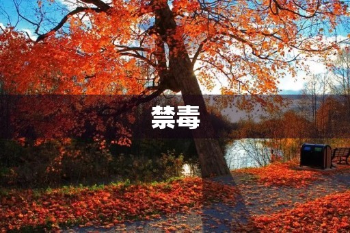 禁毒,让生命更美好 禁毒,让生命更美好
