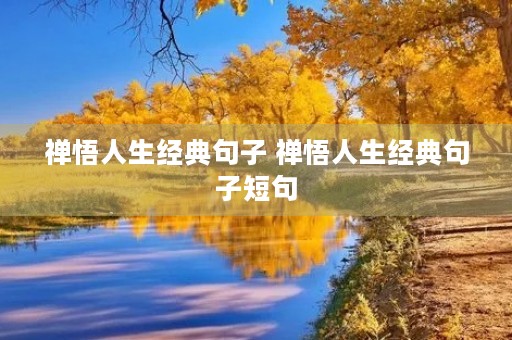 禅悟人生经典句子 禅悟人生经典句子短句