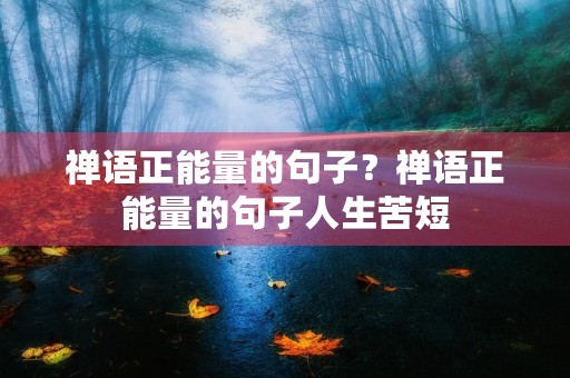 禅语正能量的句子?禅语正能量的句子人生苦短 禅语正能量的句子?禅语正能量的句子人生苦短