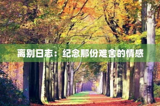 离别日志：纪念那份难舍的情感