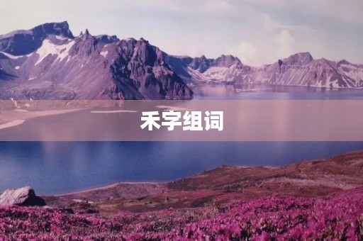 禾字组词(禾字组词)