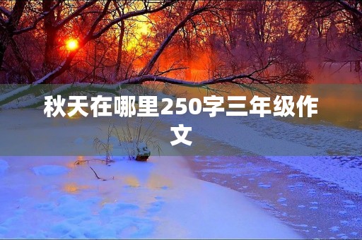 秋天在哪里250字三年级作文