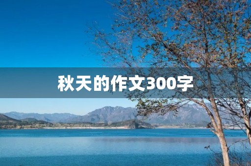秋天的作文300字
