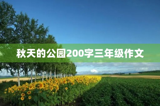 秋天的公园200字三年级作文