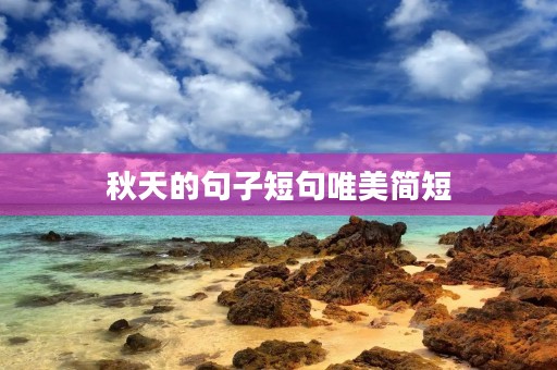 秋天的句子短句唯美简短(秋天的句子短句唯美简短一点)