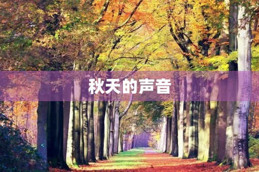 秋天的声音 秋天的声音