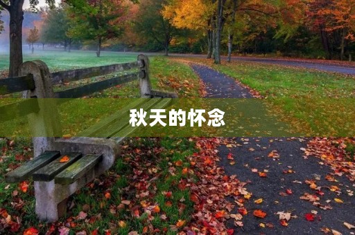 秋天的怀念，让我心头潮湿