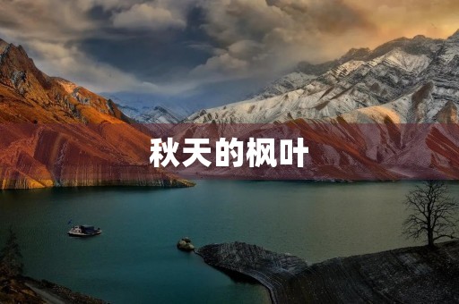 秋天的枫叶 秋天的枫叶