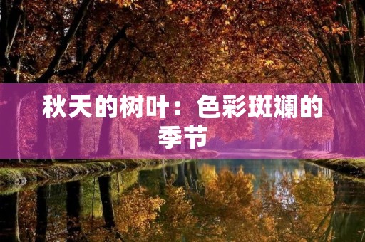 秋天的树叶：色彩斑斓的季节