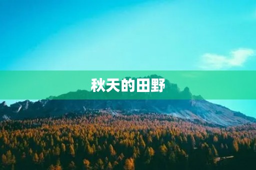 秋天的田野