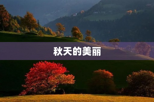 秋天的美丽 秋天的美丽