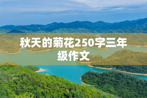 秋天的菊花250字三年级作文 秋天的菊花250字三年级作文