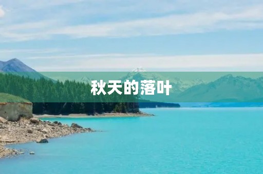 秋天的落叶