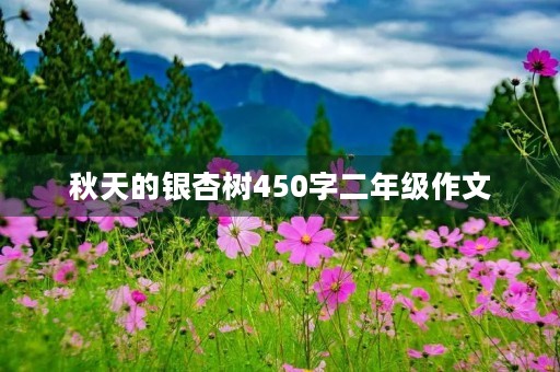 秋天的银杏树450字二年级作文