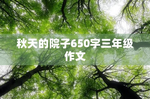秋天的院子650字三年级作文