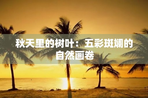 秋天里的树叶:五彩斑斓的自然画卷 秋天里的树叶:五彩斑斓的自然画卷