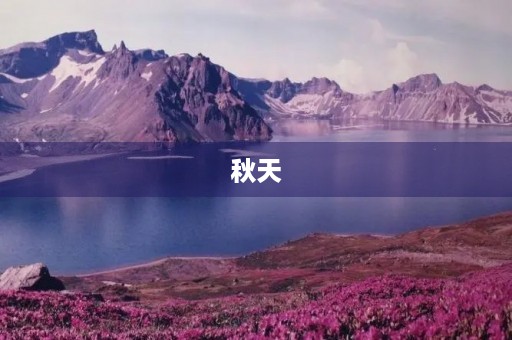 秋天,我爱你250字三年级作文 秋天,我爱你250字三年级作文