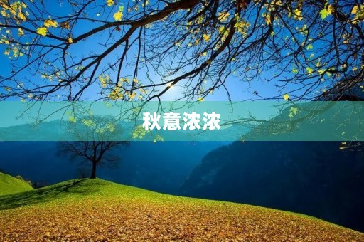 秋意浓浓,怀念时光 秋意浓浓,怀念时光