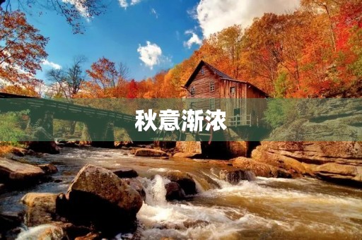秋意渐浓,三年级小朋友的秋日感悟 秋意渐浓,三年级小朋友的秋日感悟